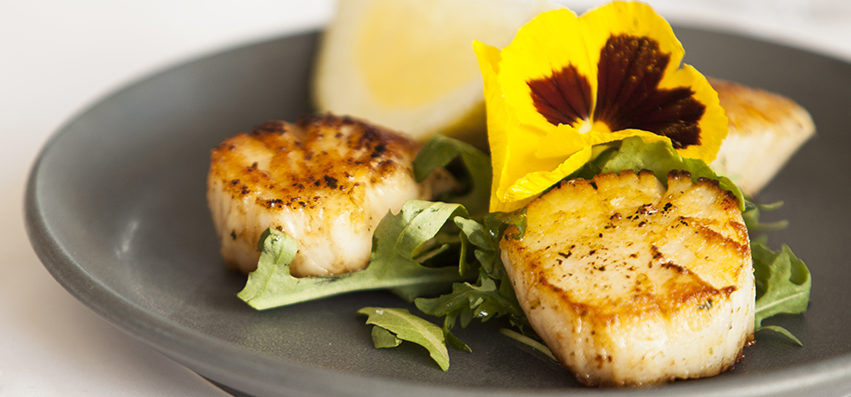 Cannonball Isle of Mull hand-dived scallop with garlic butter and lemon