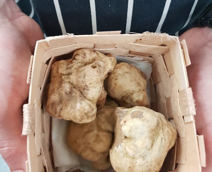 It's the season for truffles | Contini