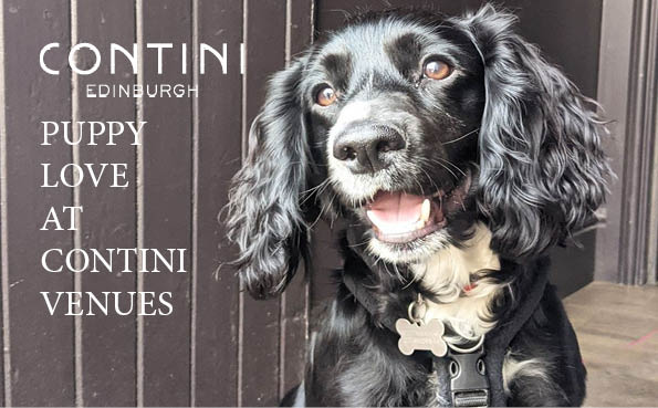 Contini venues joining dog friendly restaurants in Edinburgh