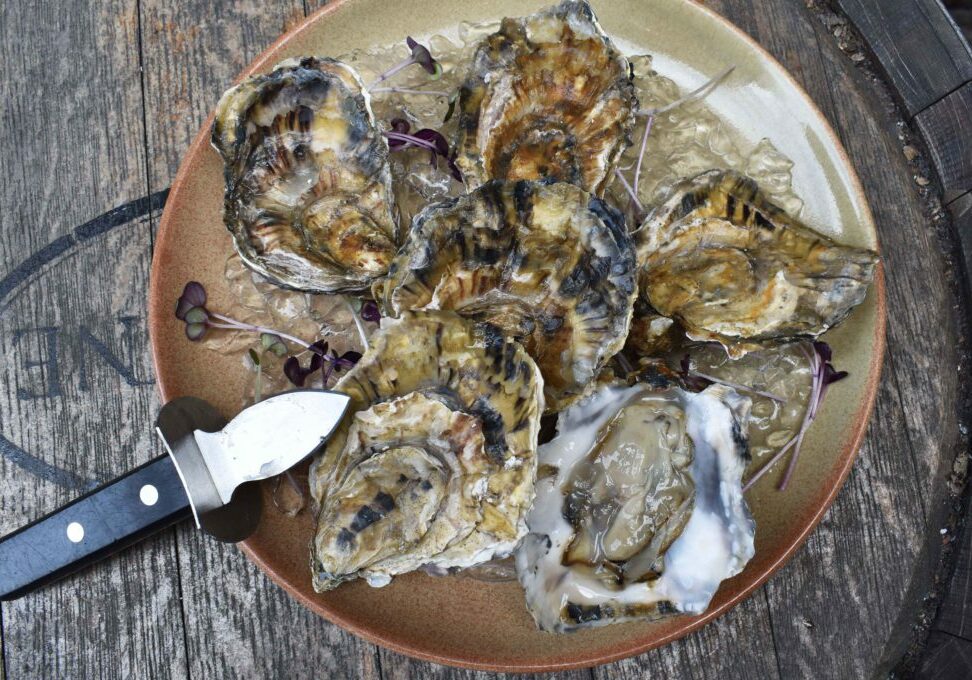 Oysters-2-low-1170x680